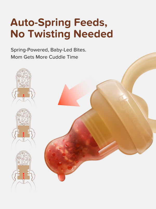 Thyseed Baby Fruit Feeder