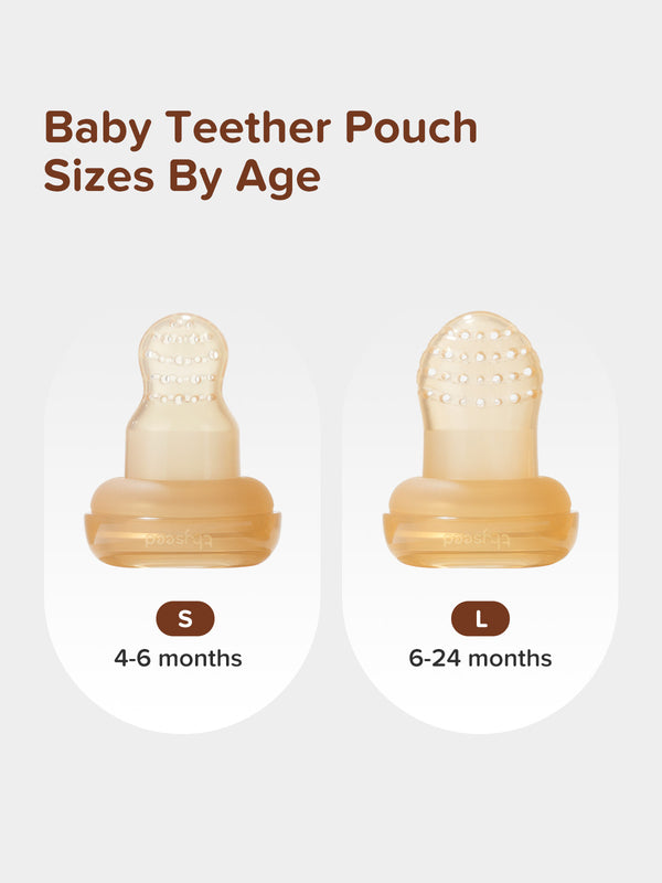 Thyseed Baby Fruit Feeder