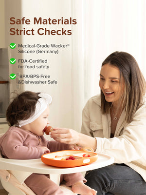 Silicone Baby Fruit Feeder Set