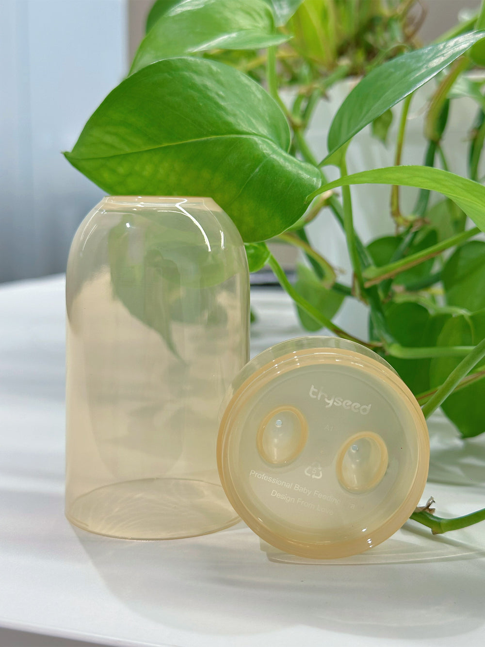 Baby Toothbrush Storage Case